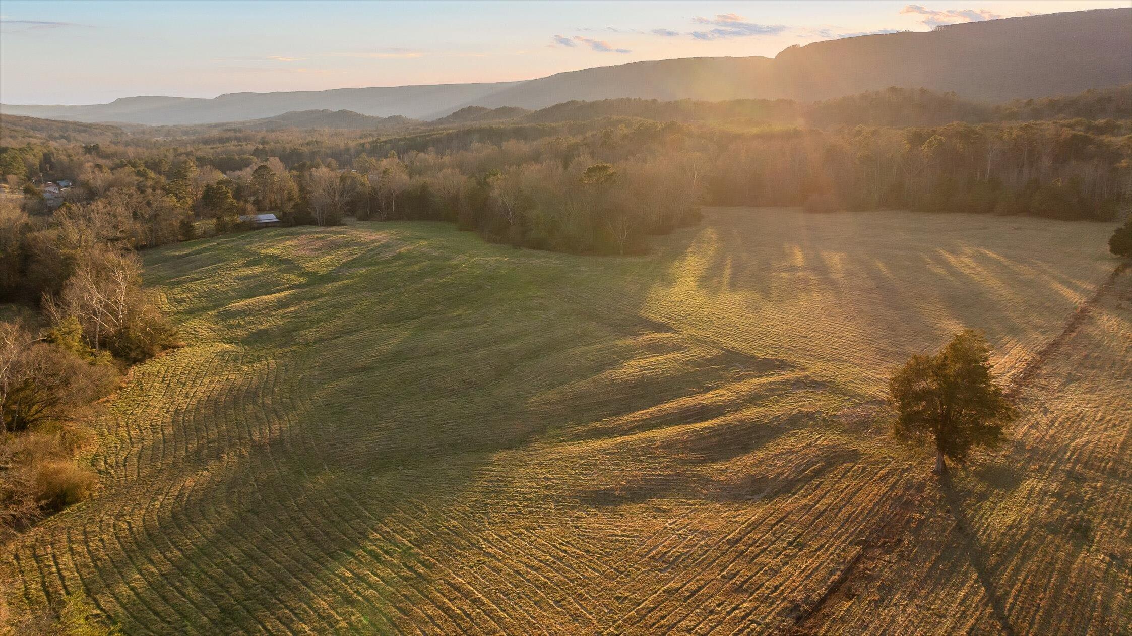 0 West Cove Road, Unit 96 4 AC Chickamauga, GA 30707 - Photo 30 of 70 28-W Cove (90 Acres) - Sunset-11