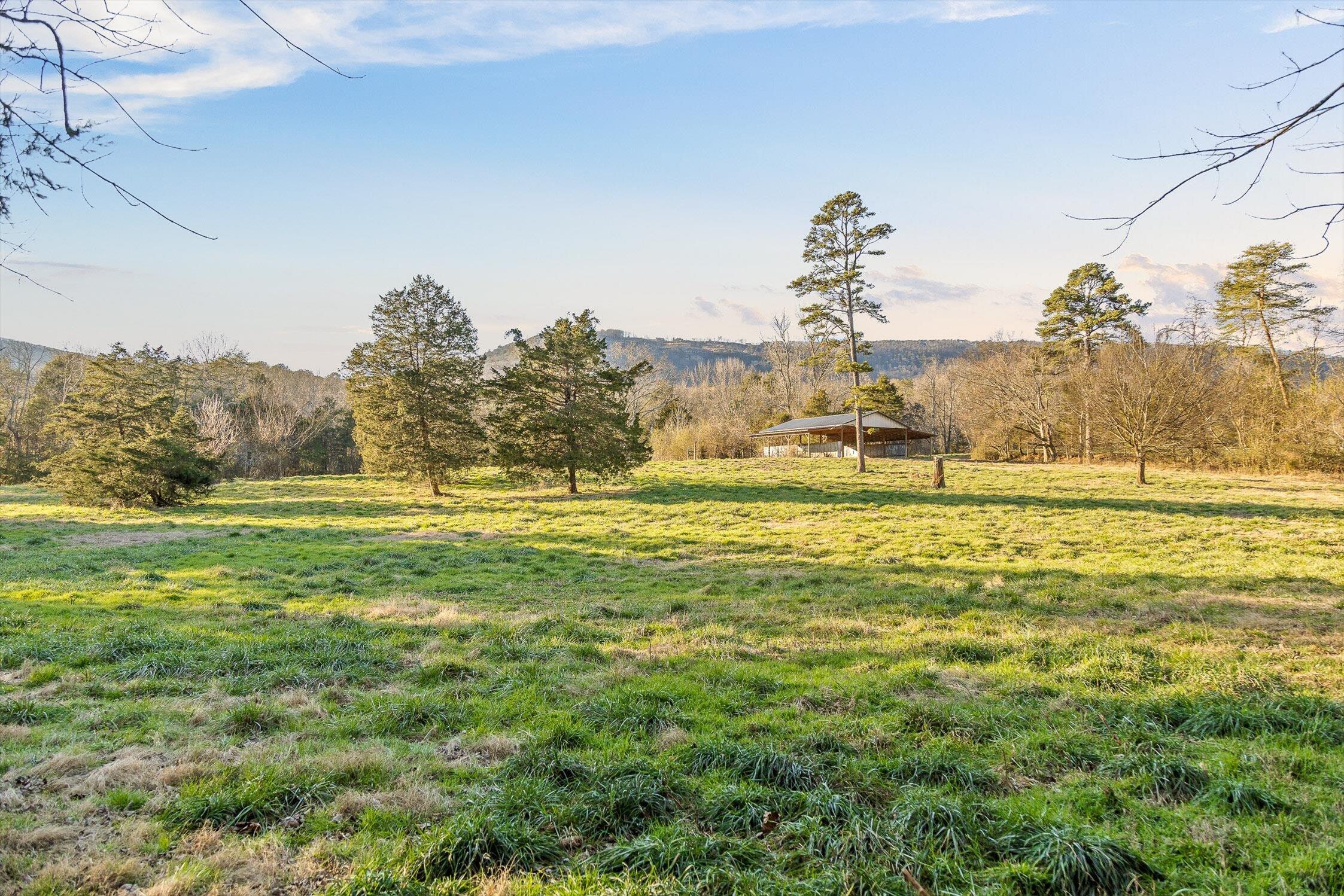 0 West Cove Road, Unit 96 4 AC Chickamauga, GA 30707 - Photo 35 of 70 39-W Cove (90 Acres)-24