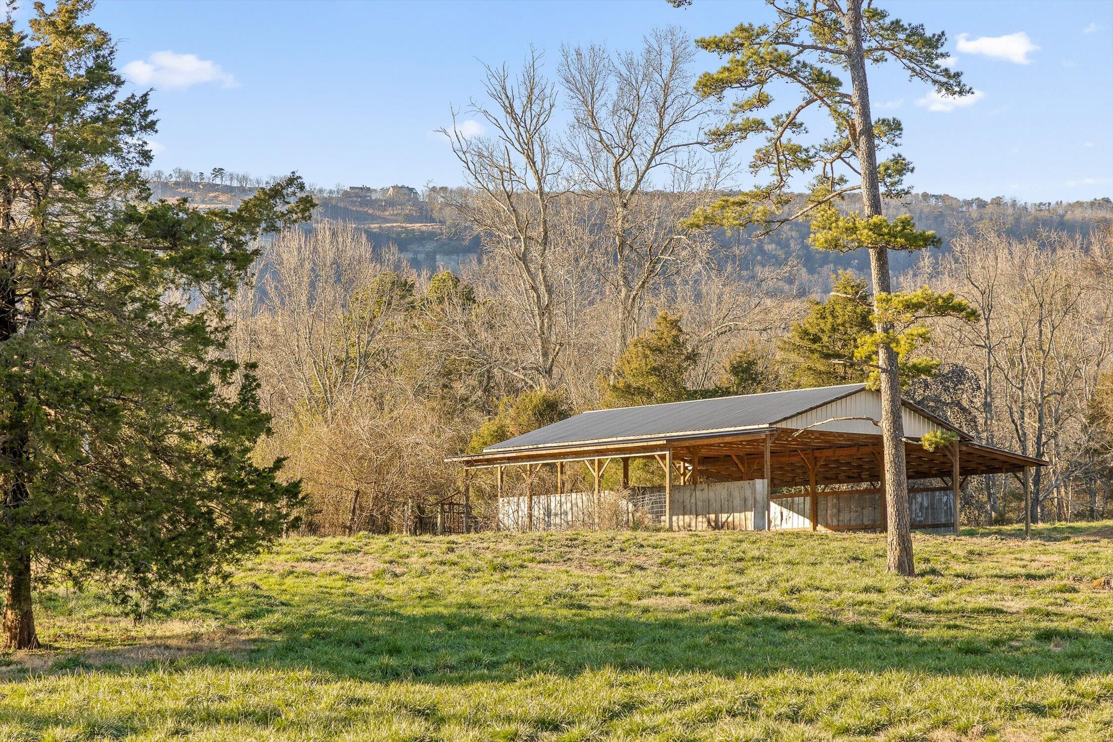 0 West Cove Road, Unit 96 4 AC Chickamauga, GA 30707 - Photo 37 of 70 40-W Cove (90 Acres)-25