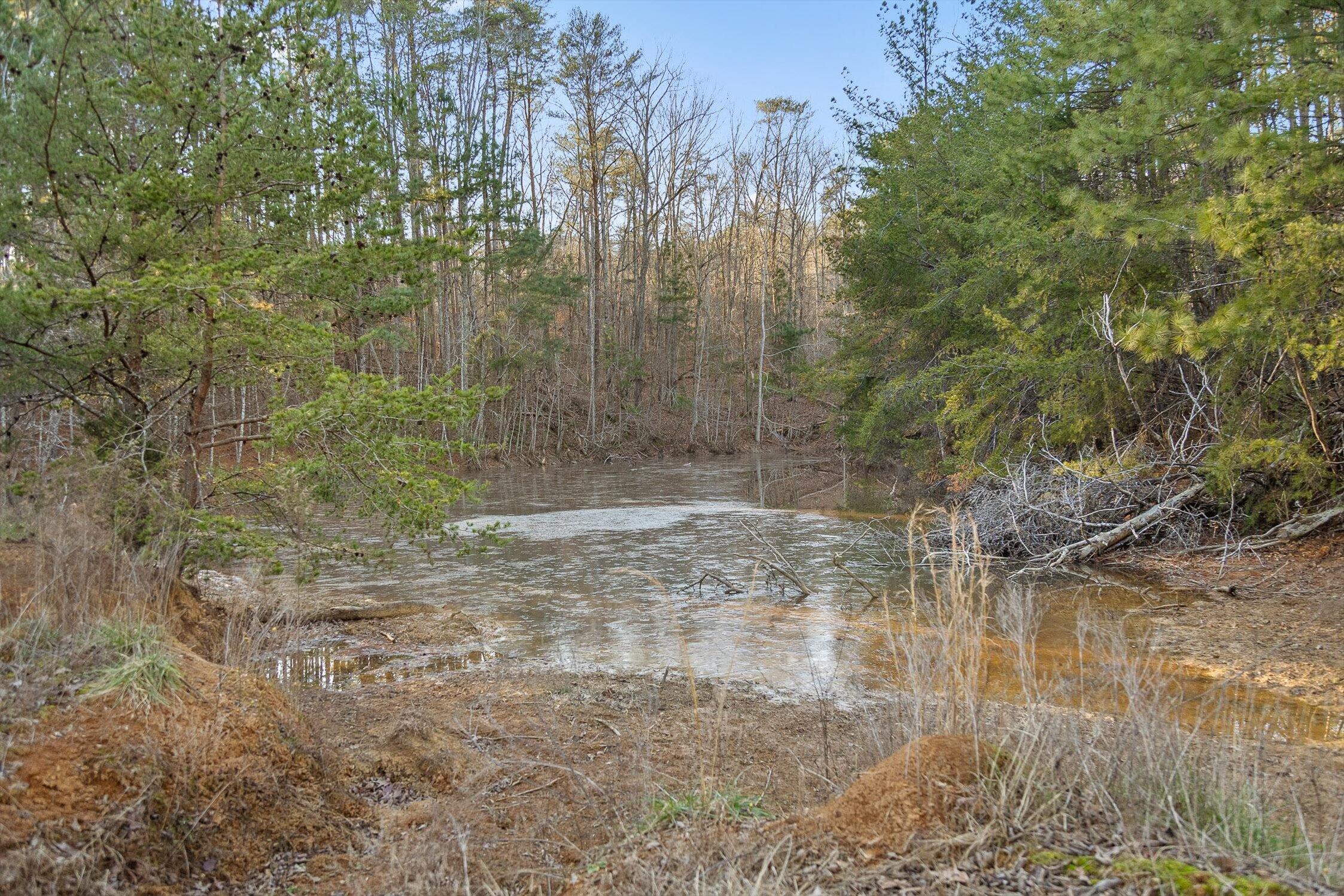 0 West Cove Road, Unit 96 4 AC Chickamauga, GA 30707 - Photo 4 of 70 60-W Cove (90 Acres)-45