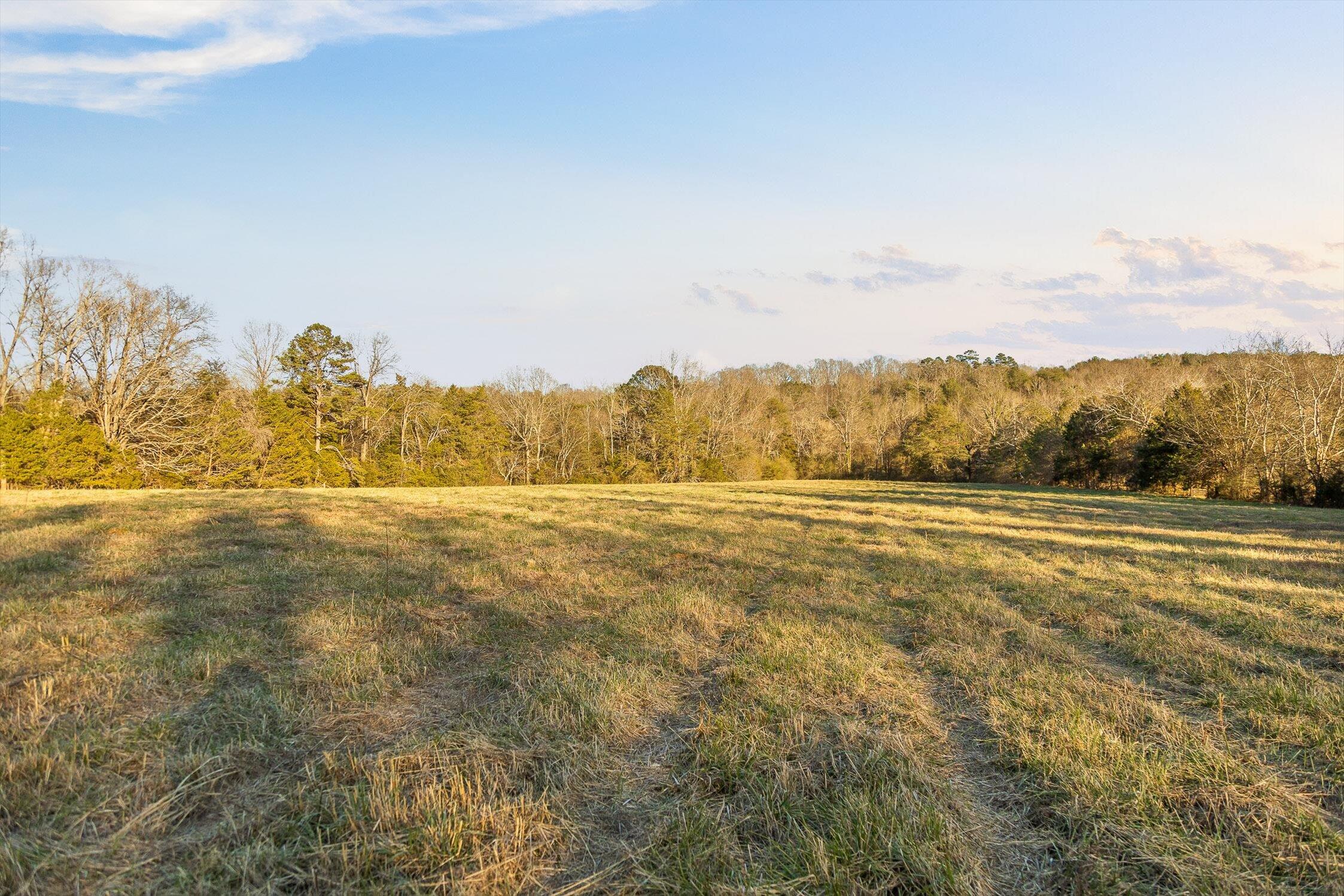 0 West Cove Road, Unit 96 4 AC Chickamauga, GA 30707 - Photo 41 of 70 48-W Cove (90 Acres)-33