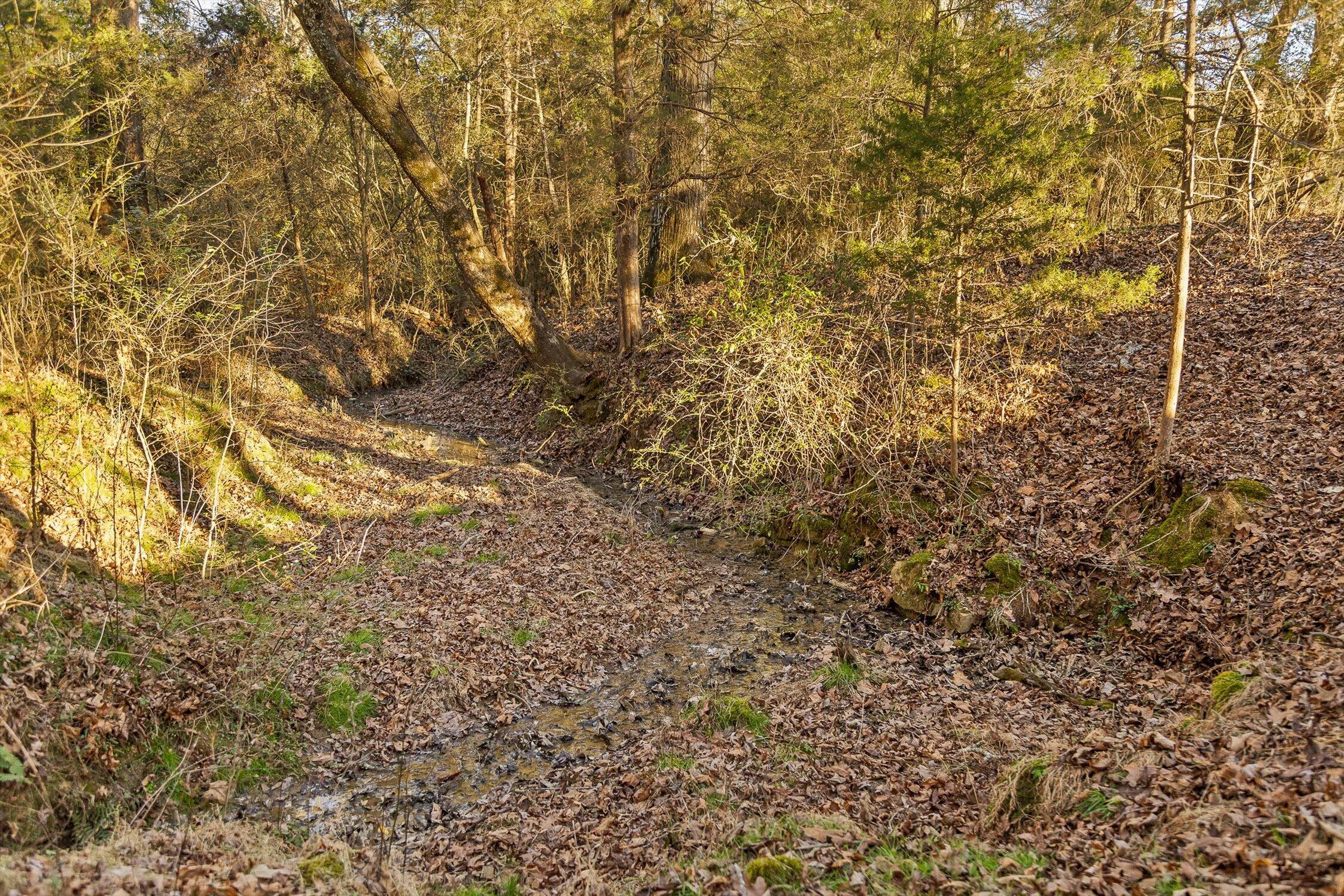 0 West Cove Road, Unit 96 4 AC Chickamauga, GA 30707 - Photo 44 of 70 51-W Cove (90 Acres)-36