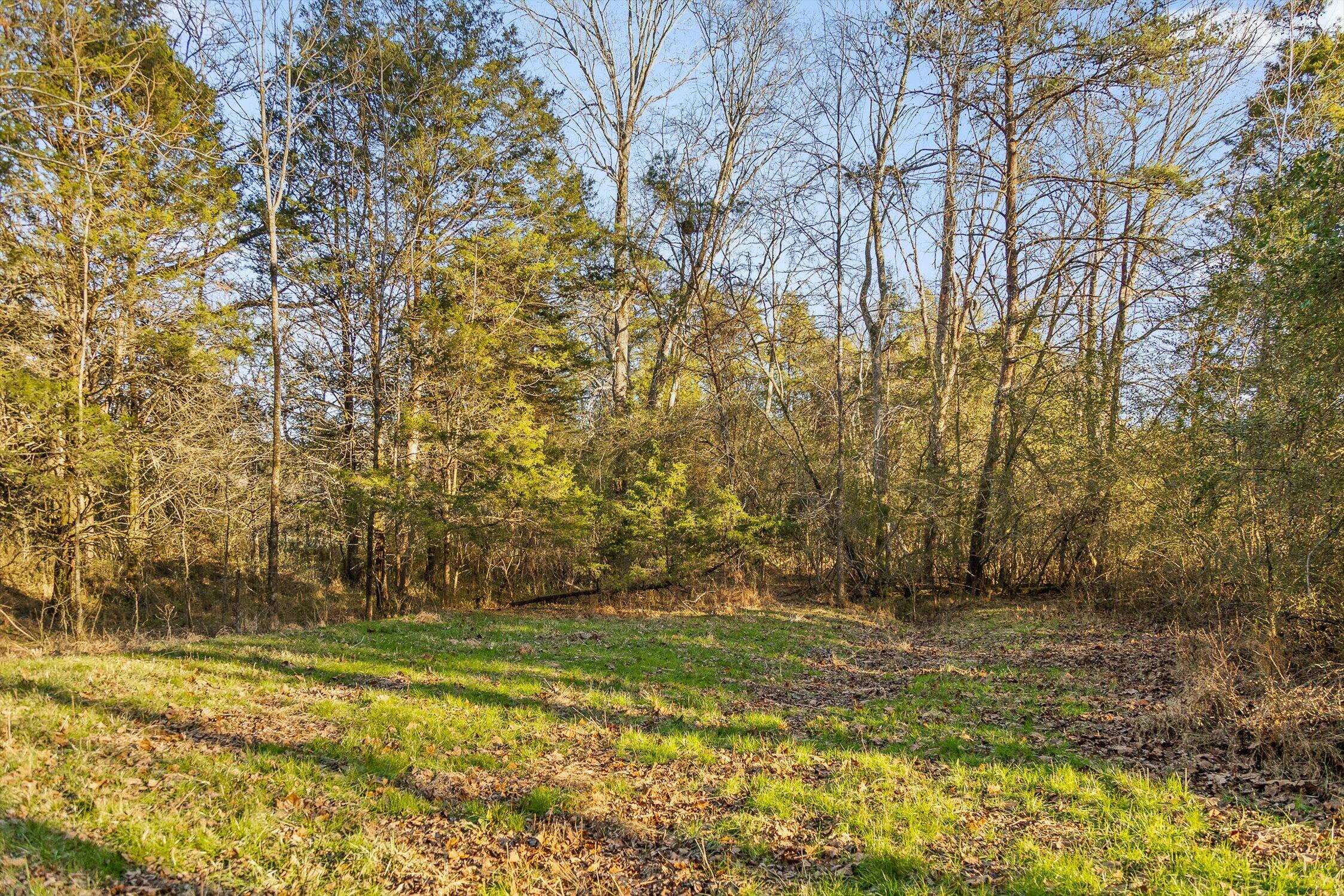 0 West Cove Road, Unit 96 4 AC Chickamauga, GA 30707 - Photo 45 of 70 53-W Cove (90 Acres)-38