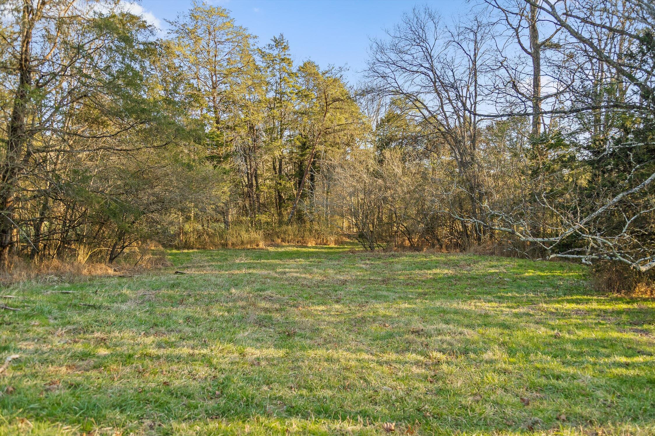 0 West Cove Road, Unit 96 4 AC Chickamauga, GA 30707 - Photo 47 of 70 56-W Cove (90 Acres)-41