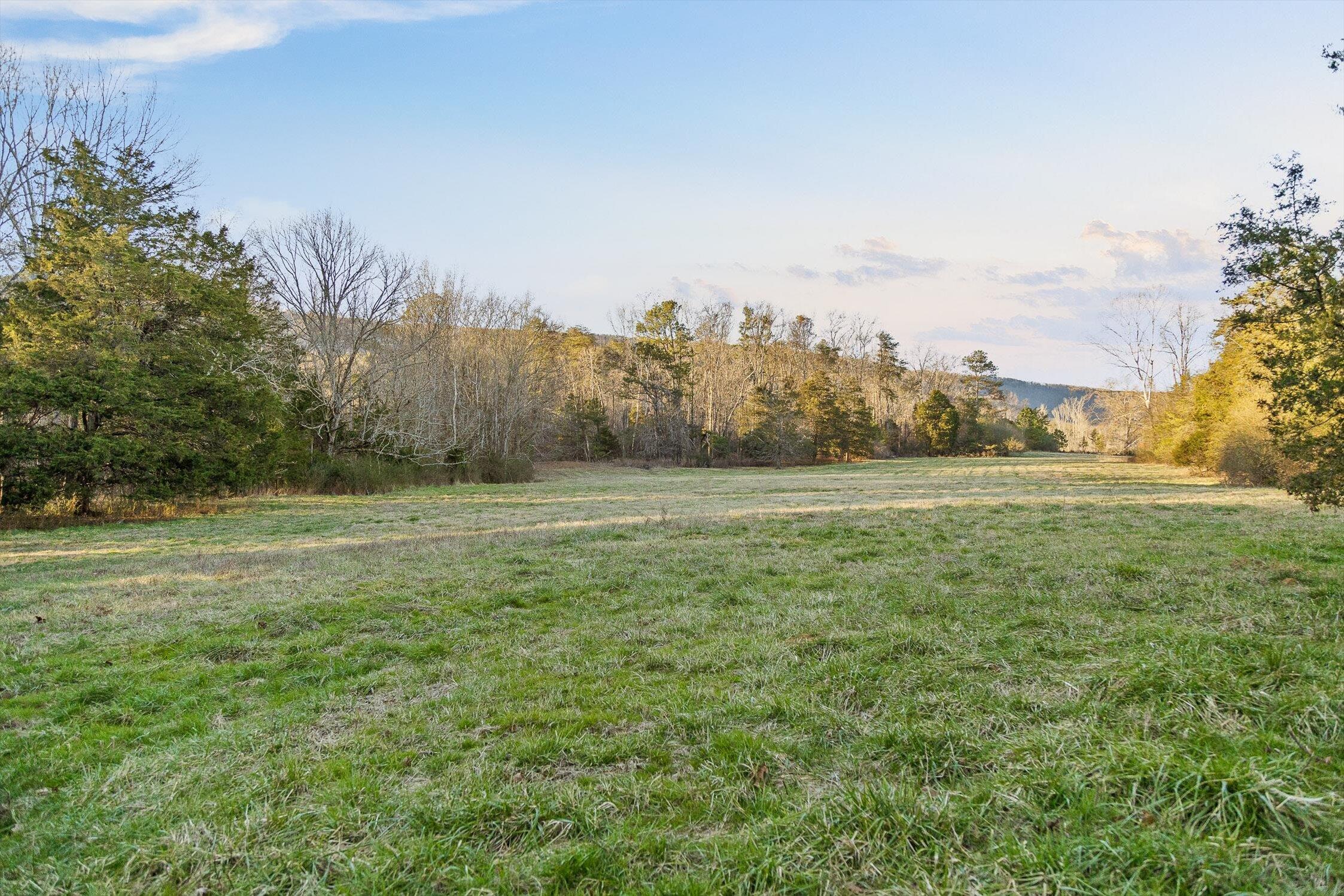 0 West Cove Road, Unit 96 4 AC Chickamauga, GA 30707 - Photo 48 of 70 57-W Cove (90 Acres)-42