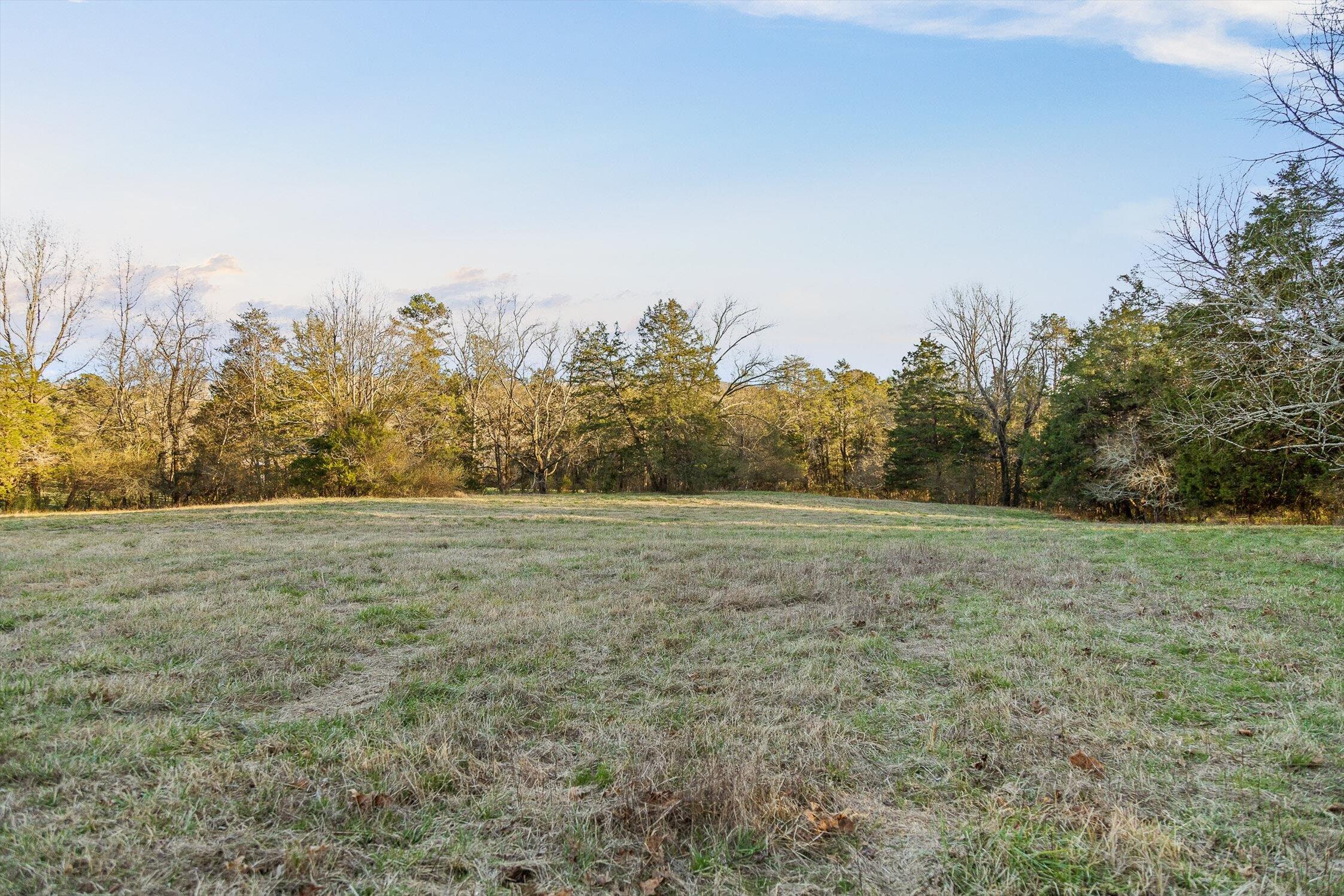 0 West Cove Road, Unit 96 4 AC Chickamauga, GA 30707 - Photo 49 of 70 58-W Cove (90 Acres)-43