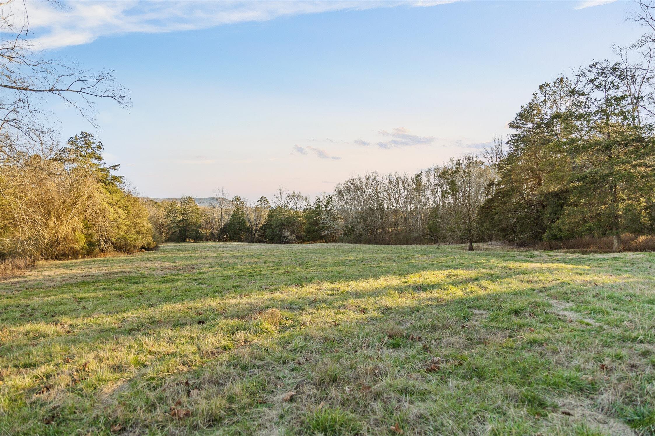 0 West Cove Road, Unit 96 4 AC Chickamauga, GA 30707 - Photo 50 of 70 63-W Cove (90 Acres)-48