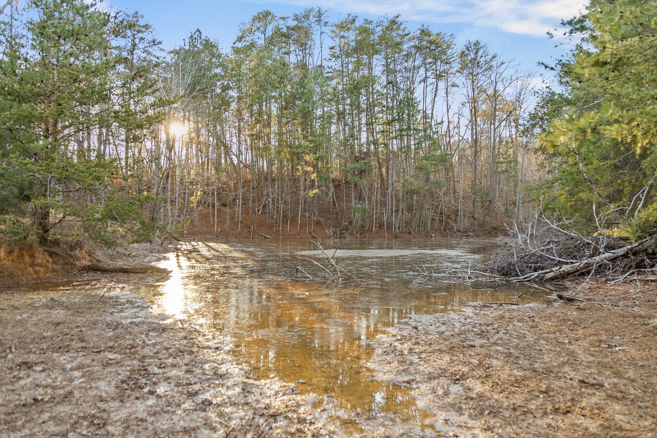 0 West Cove Road, Unit 96 4 AC Chickamauga, GA 30707 - Photo 5 of 70 61-W Cove (90 Acres)-46