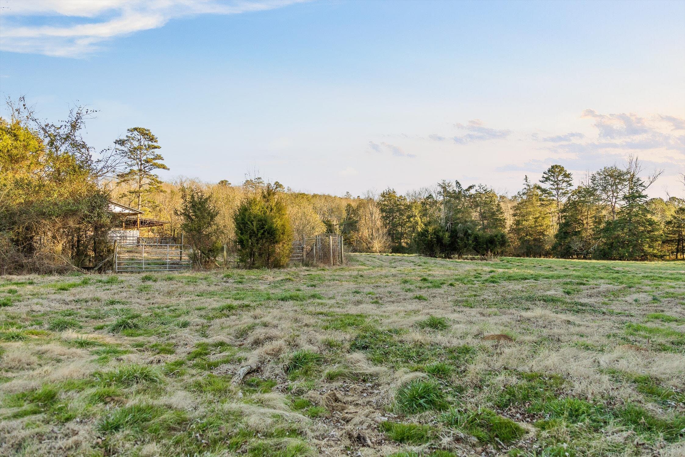 0 West Cove Road, Unit 96 4 AC Chickamauga, GA 30707 - Photo 52 of 70 67-W Cove (90 Acres)-52