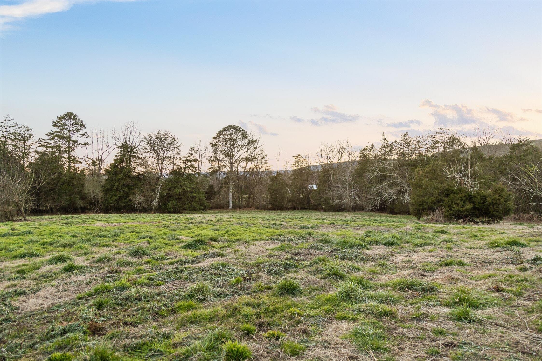 0 West Cove Road, Unit 96 4 AC Chickamauga, GA 30707 - Photo 61 of 70 79-W Cove (90 Acres)-64