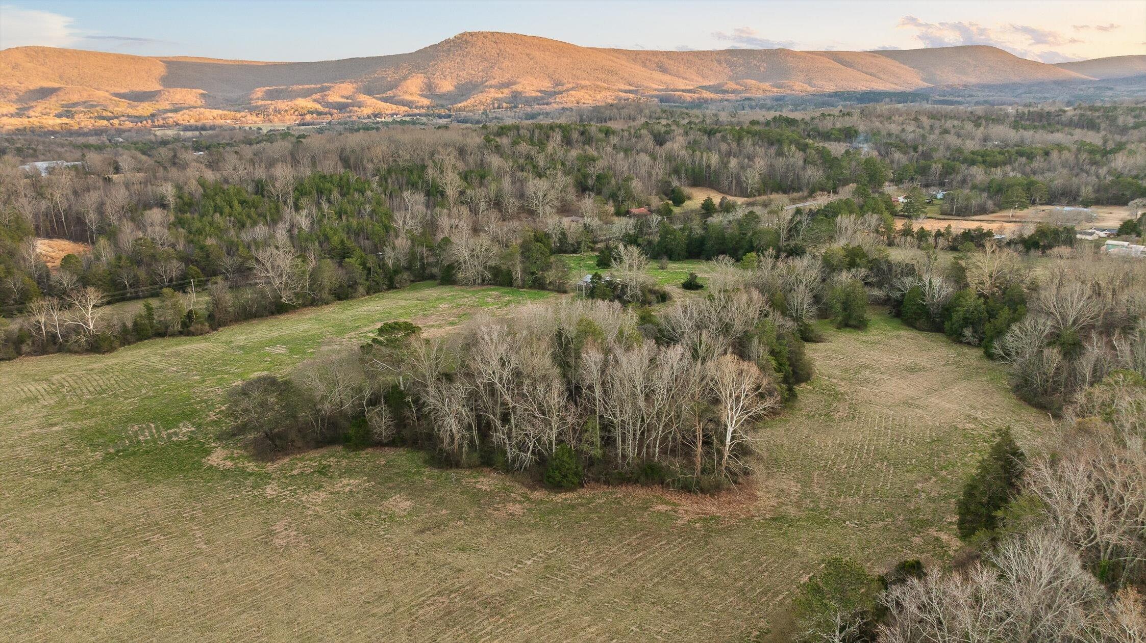 0 West Cove Road, Unit 96 4 AC Chickamauga, GA 30707 - Photo 66 of 70 87-W Cove (90 Acres)-72