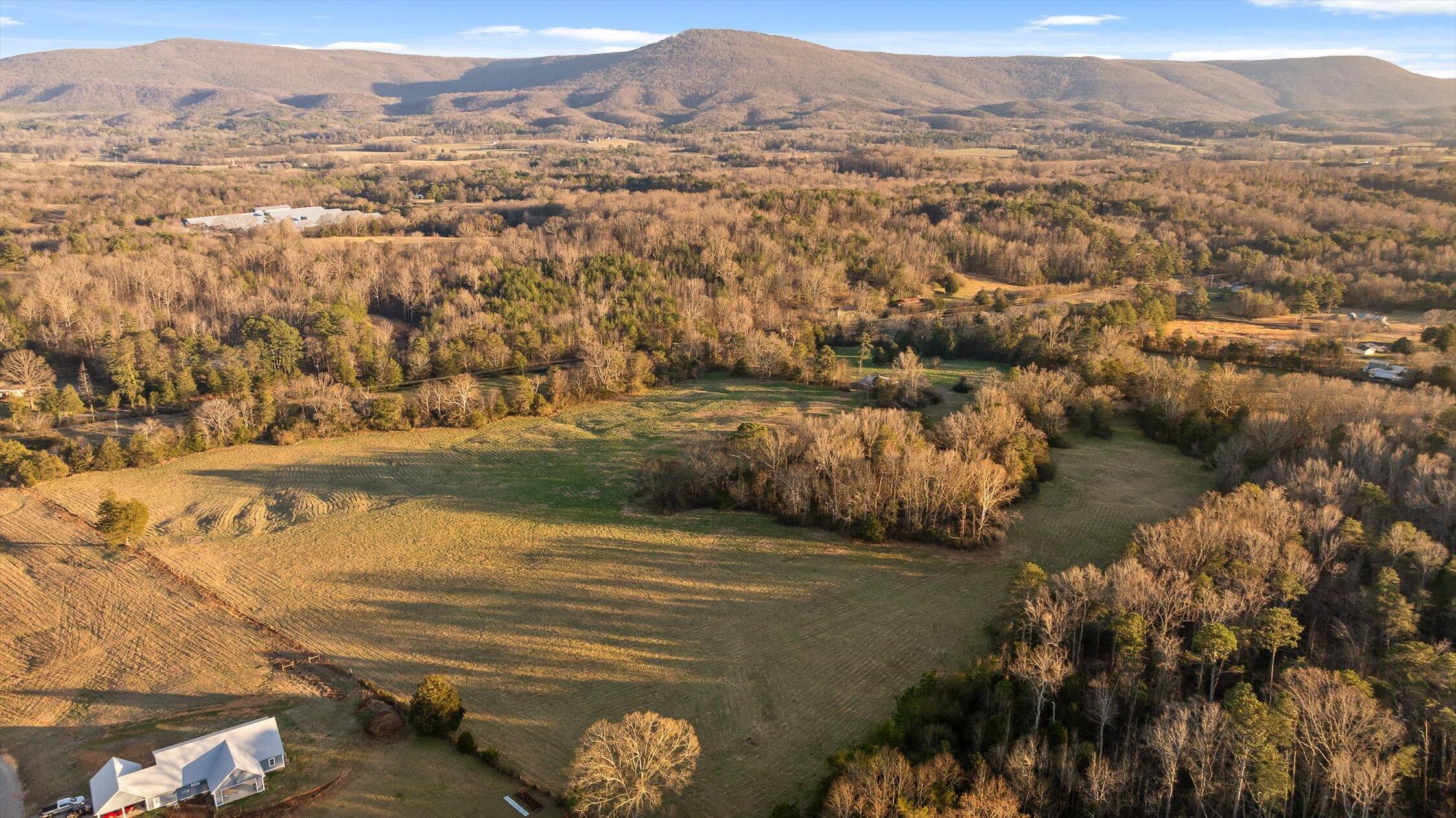 0 West Cove Road, Unit 96 4 AC Chickamauga, GA 30707 - Photo 8 of 70 07-W Cove - 90 Acres-6