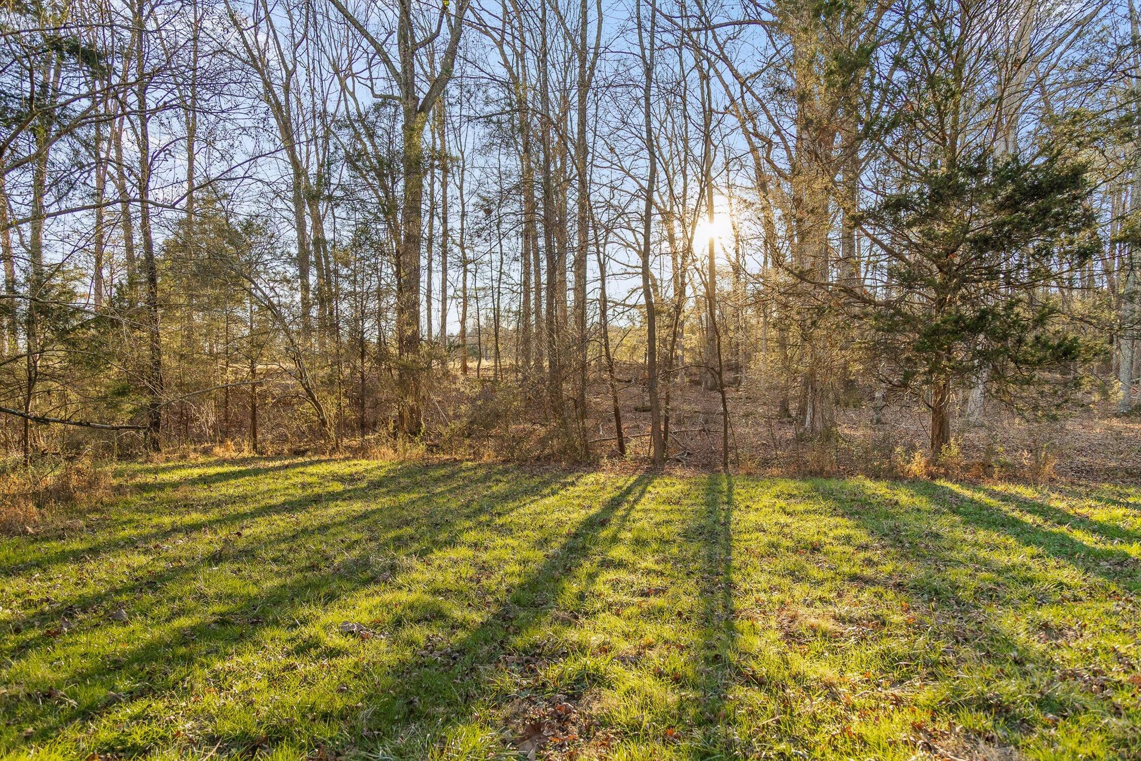 0 West Cove Road, Unit 96 4 AC Chickamauga, GA 30707 - Photo 10 of 70 54-W Cove (90 Acres)-39