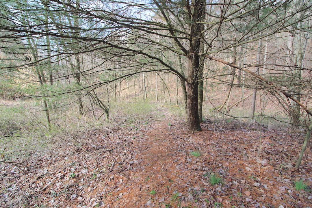 12350 Parks Road New Concord, OH 43762 - Photo 23 of 42