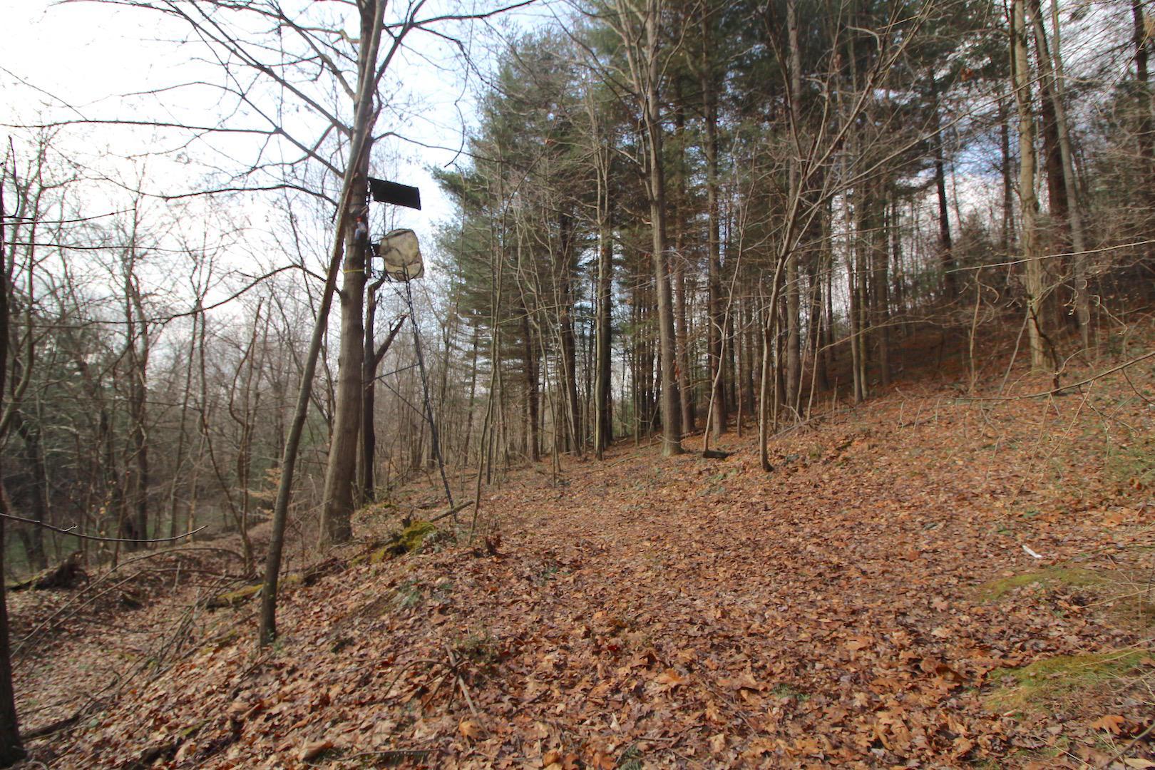 12350 Parks Road New Concord, OH 43762 - Photo 25 of 42
