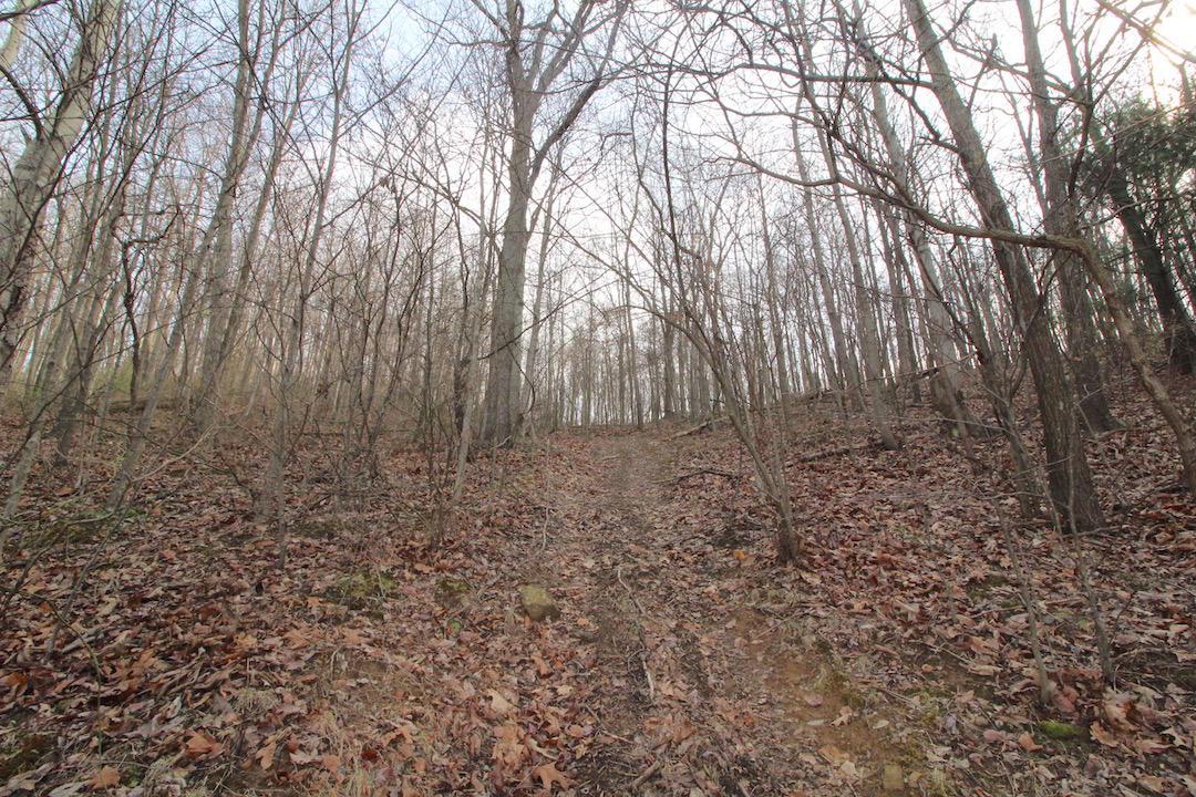 12350 Parks Road New Concord, OH 43762 - Photo 29 of 42