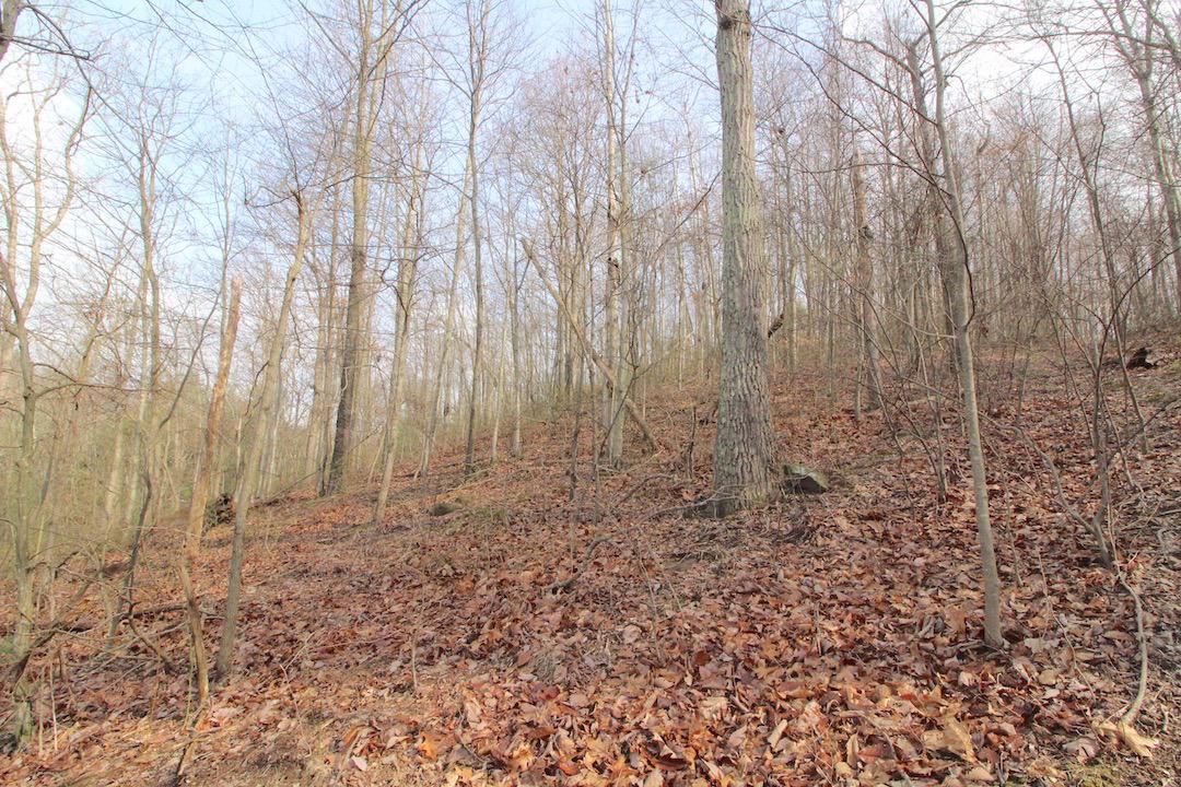 12350 Parks Road New Concord, OH 43762 - Photo 30 of 42