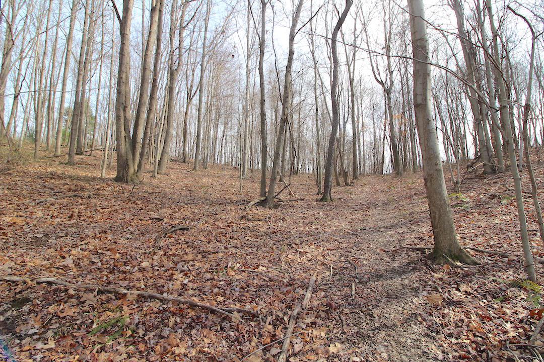 12350 Parks Road New Concord, OH 43762 - Photo 31 of 42