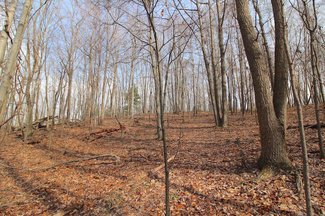12350 Parks Road New Concord, OH 43762 - Photo 32 of 42