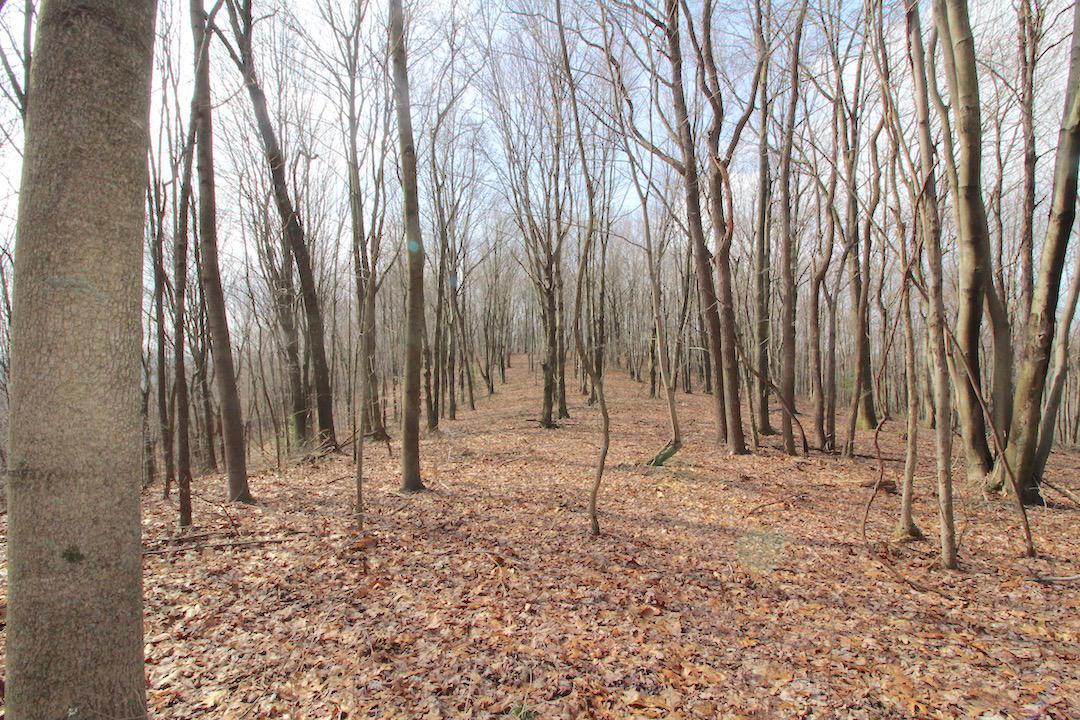 12350 Parks Road New Concord, OH 43762 - Photo 34 of 42