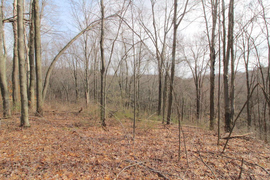 12350 Parks Road New Concord, OH 43762 - Photo 35 of 42