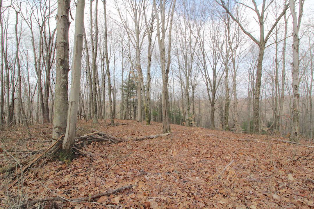 12350 Parks Road New Concord, OH 43762 - Photo 36 of 42