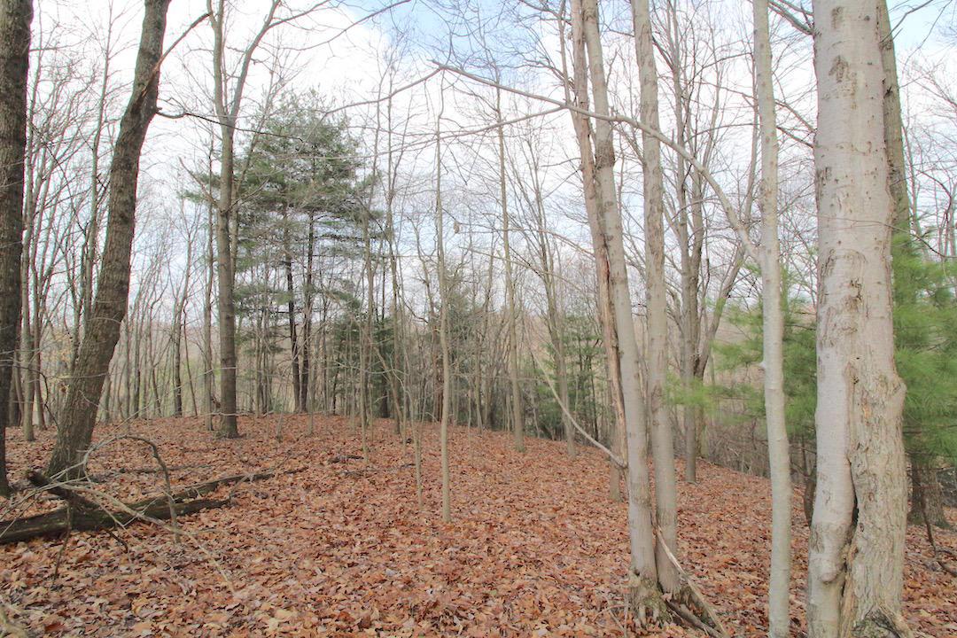 12350 Parks Road New Concord, OH 43762 - Photo 37 of 42