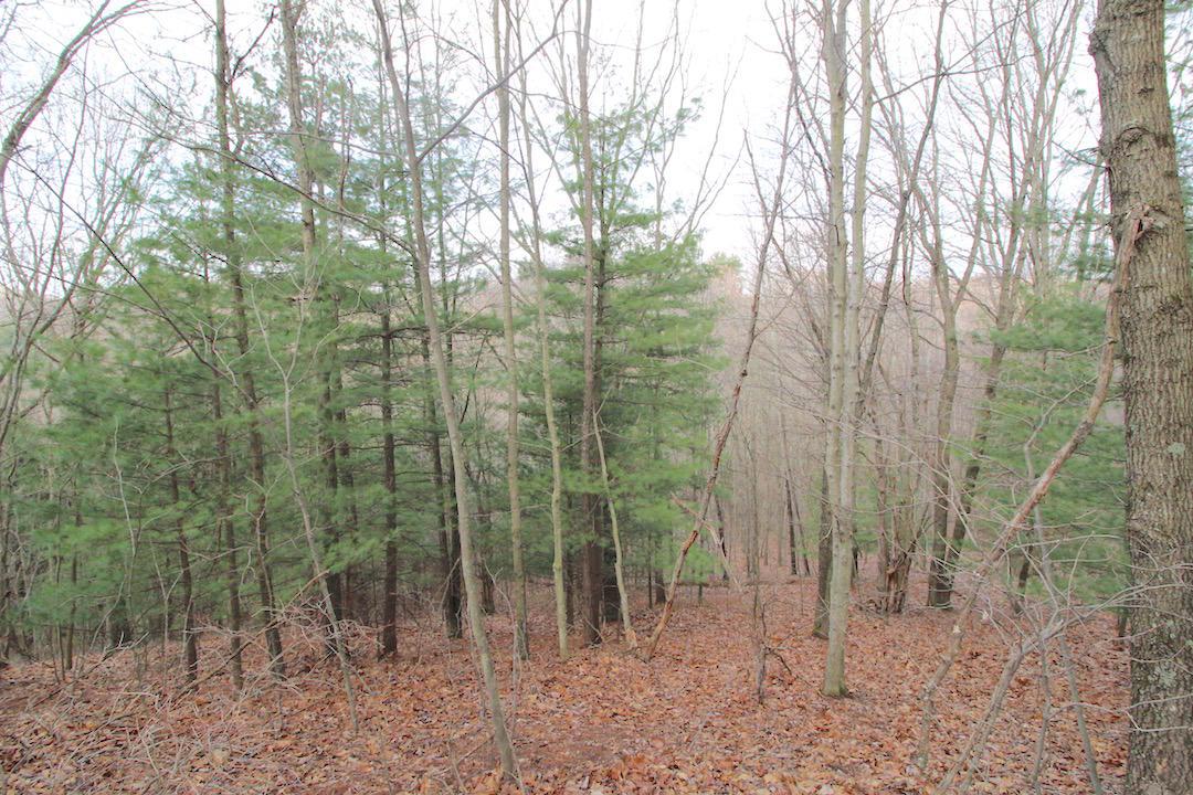 12350 Parks Road New Concord, OH 43762 - Photo 39 of 42