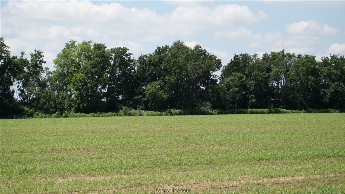 a view of field and trees in the background