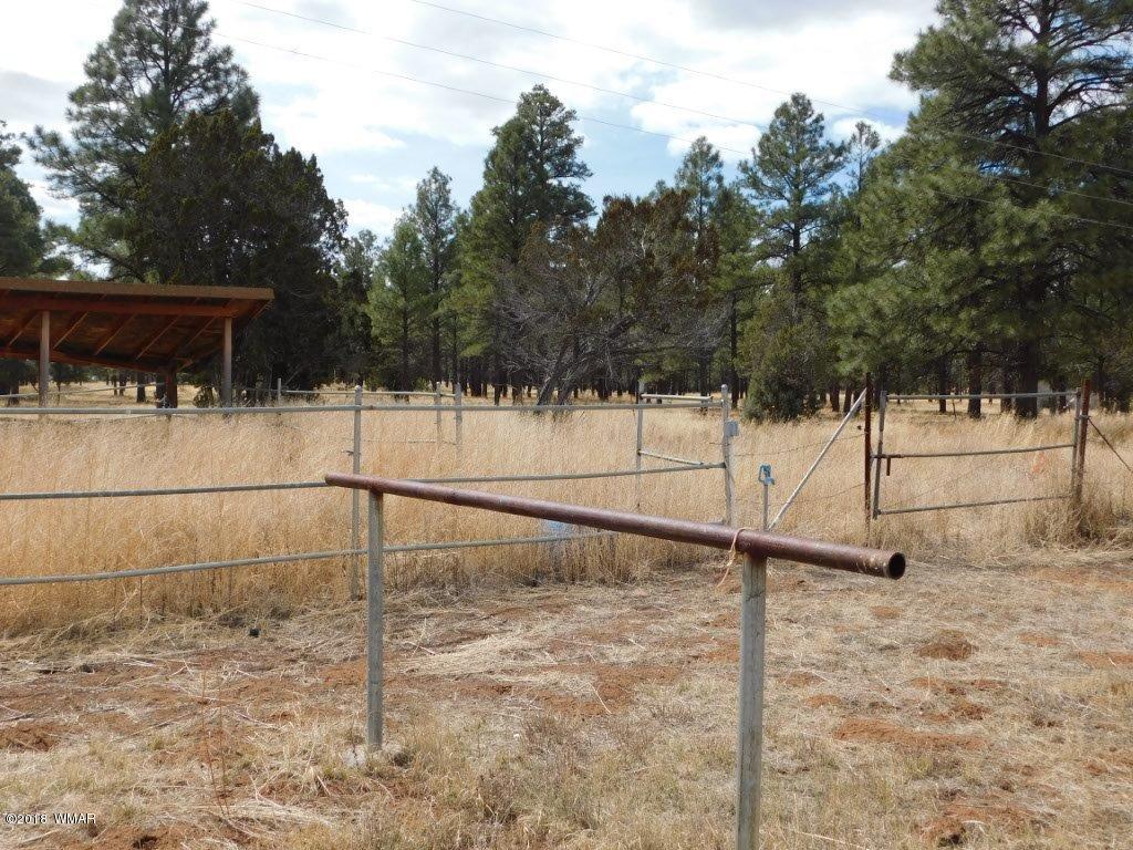 2804 Highway 260 Overgaard, AZ 85933 - Photo 27 of 33
