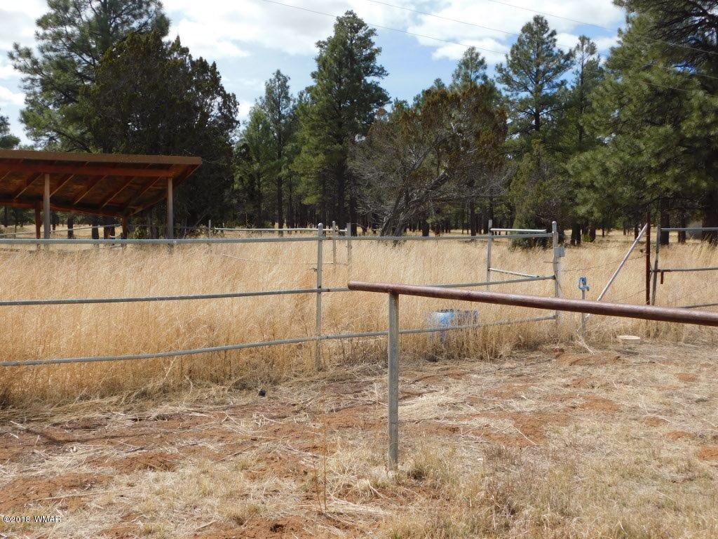2804 Highway 260 Overgaard, AZ 85933 - Photo 29 of 33