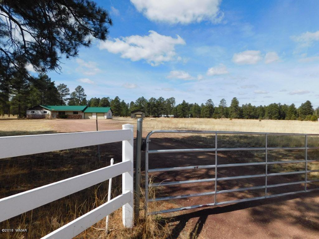 2804 Highway 260 Overgaard, AZ 85933 - Photo 4 of 33