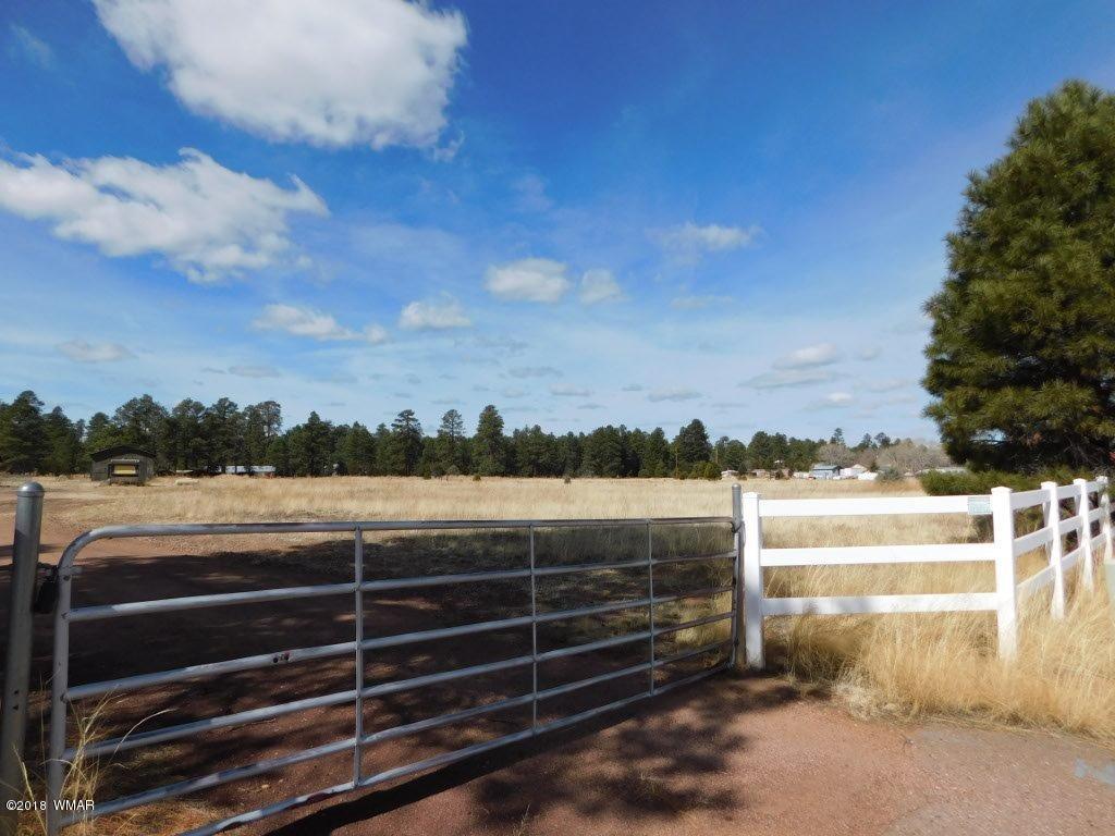2804 Highway 260 Overgaard, AZ 85933 - Photo 5 of 33
