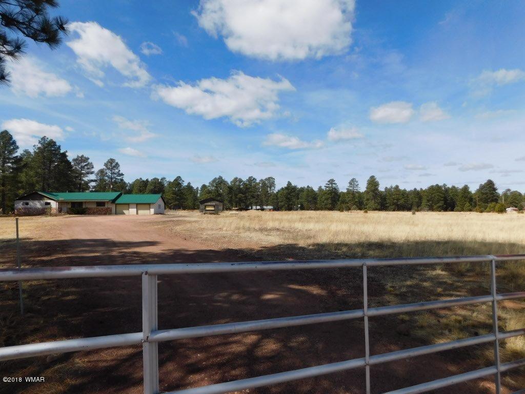 2804 Highway 260 Overgaard, AZ 85933 - Photo 6 of 33