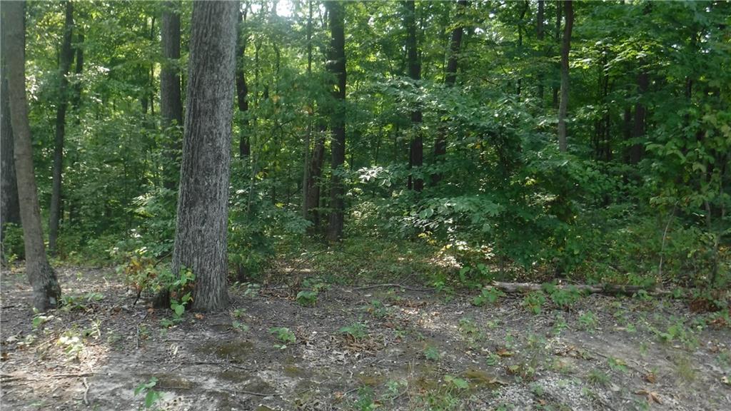 0 Greens Bluff Road Spencer, IN 47460 - Photo 2 of 6