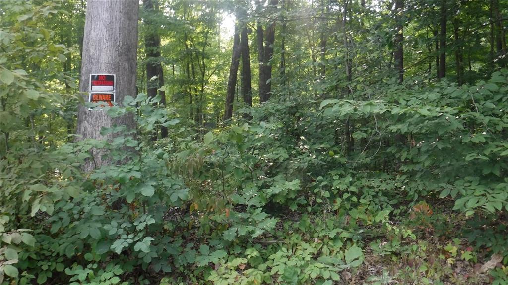 0 Greens Bluff Road Spencer, IN 47460 - Photo 3 of 6