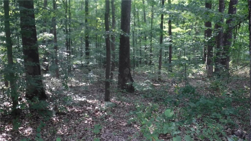 0 Greens Bluff Road Spencer, IN 47460 - Photo 4 of 6