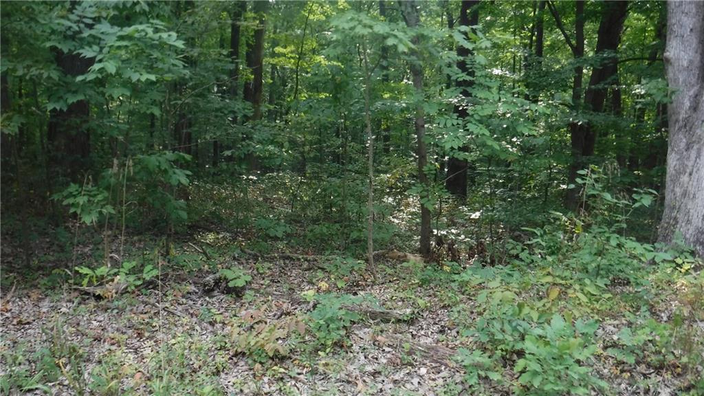 0 Greens Bluff Road Spencer, IN 47460 - Photo 5 of 6