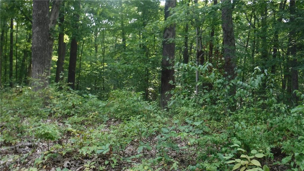 0 Greens Bluff Road Spencer, IN 47460 - Photo 6 of 6