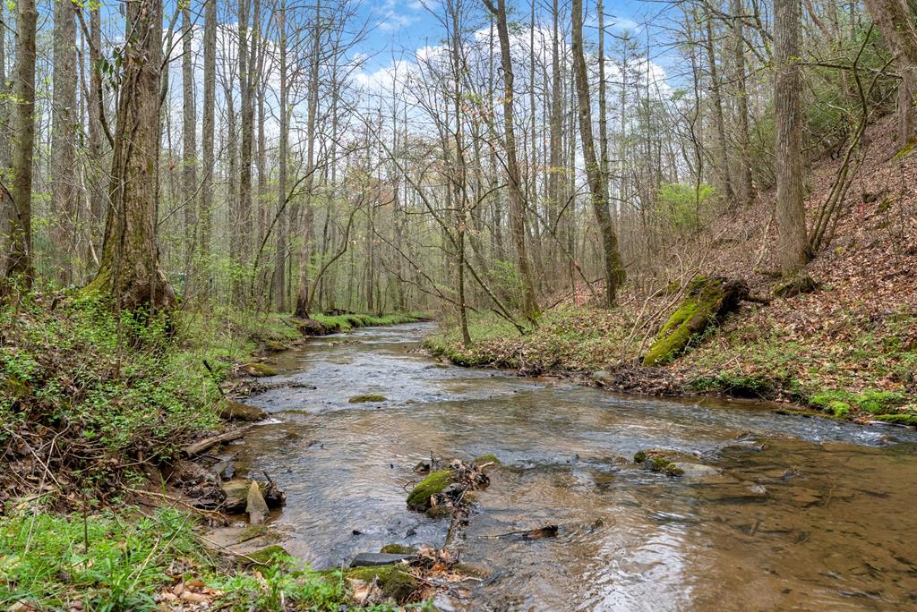 2879 Rodgers Creek Road Ellijay, GA 30540 - Photo 1 of 22 Main View