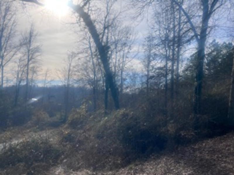 A Riverbend Road Fair Play, SC 29643 - Photo 2 of 7