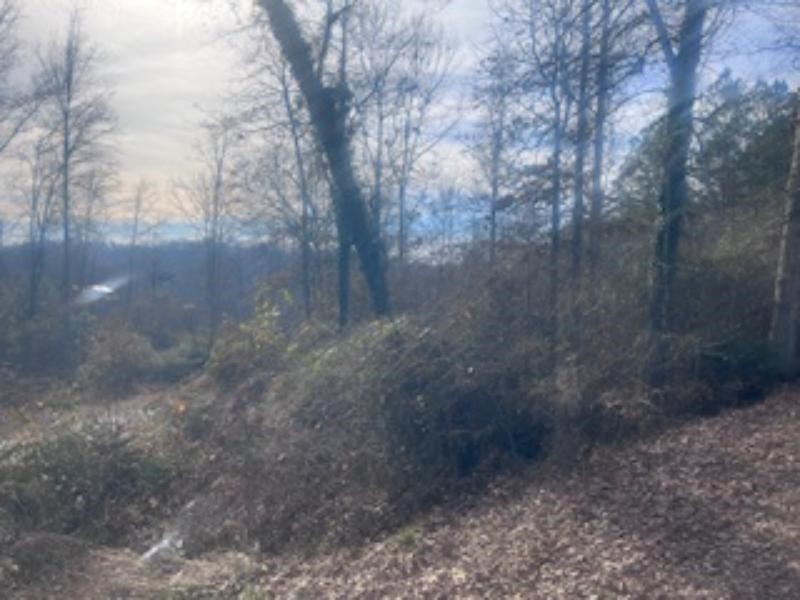 A Riverbend Road Fair Play, SC 29643 - Photo 3 of 7