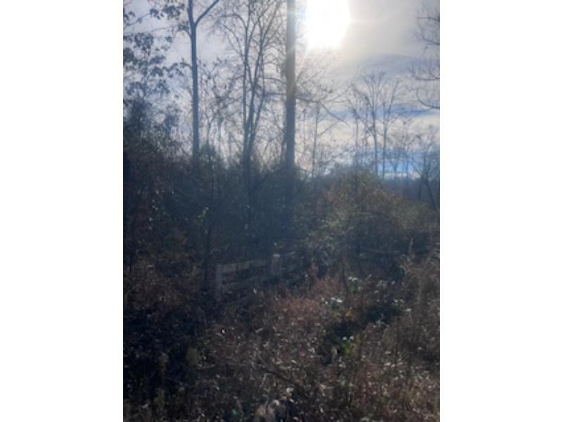 A Riverbend Road Fair Play, SC 29643 - Photo 5 of 7