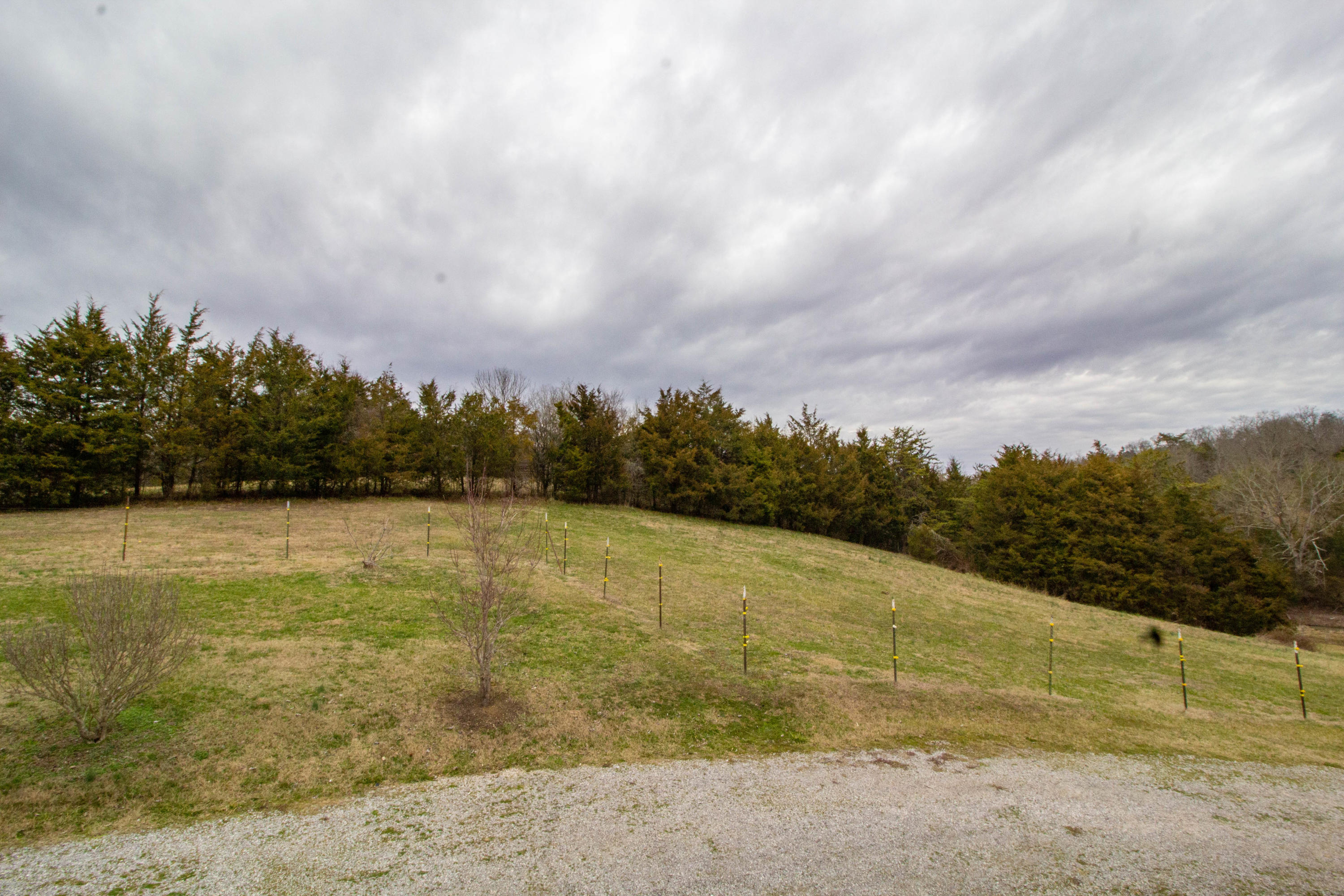 8917 Corryton Luttrell Road Luttrell, TN 37779 - Photo 22 of 35 IMG_8981