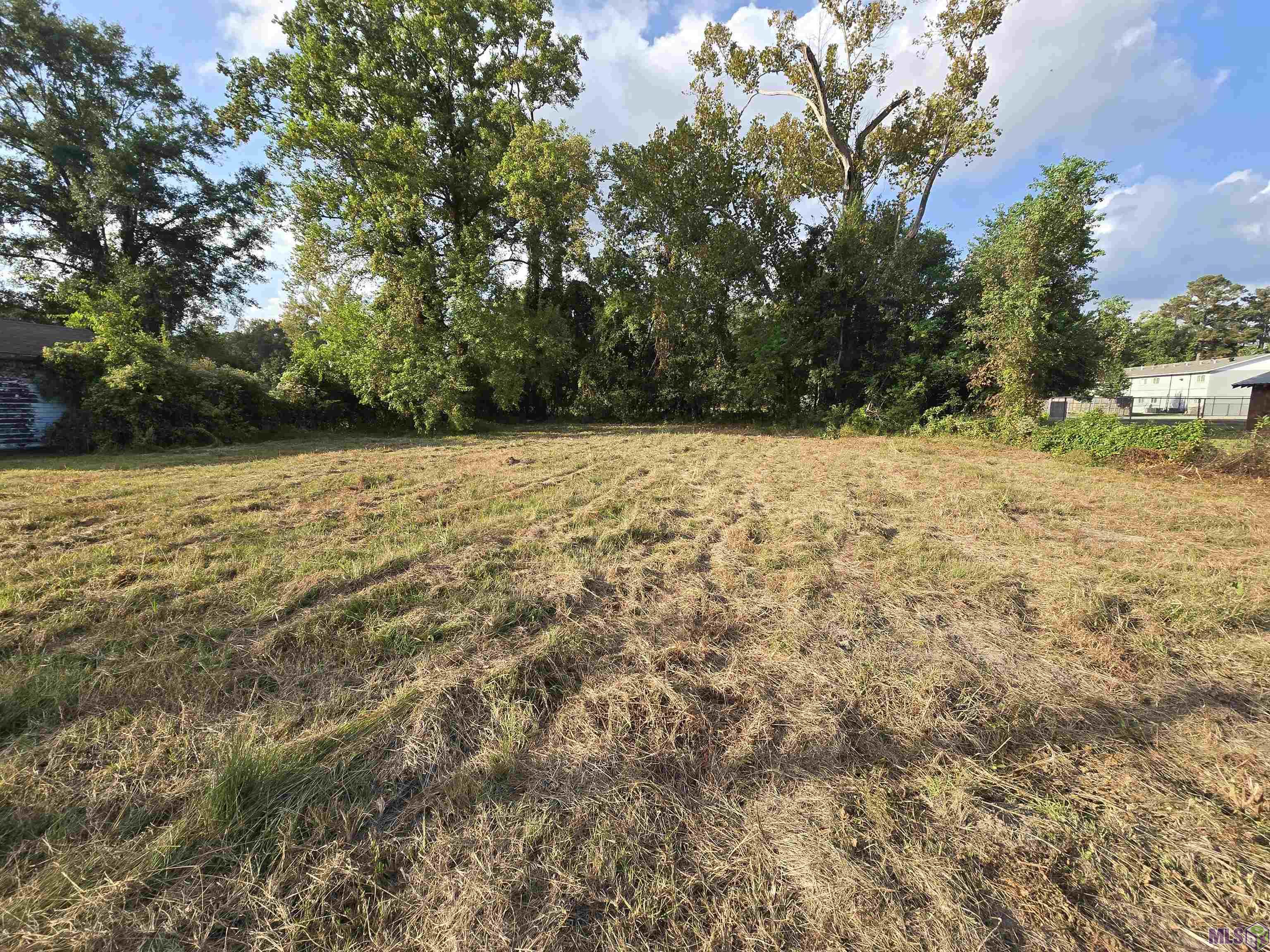 5373 Sycamore Street Baton Rouge, LA 70805 - Photo 5 of 6