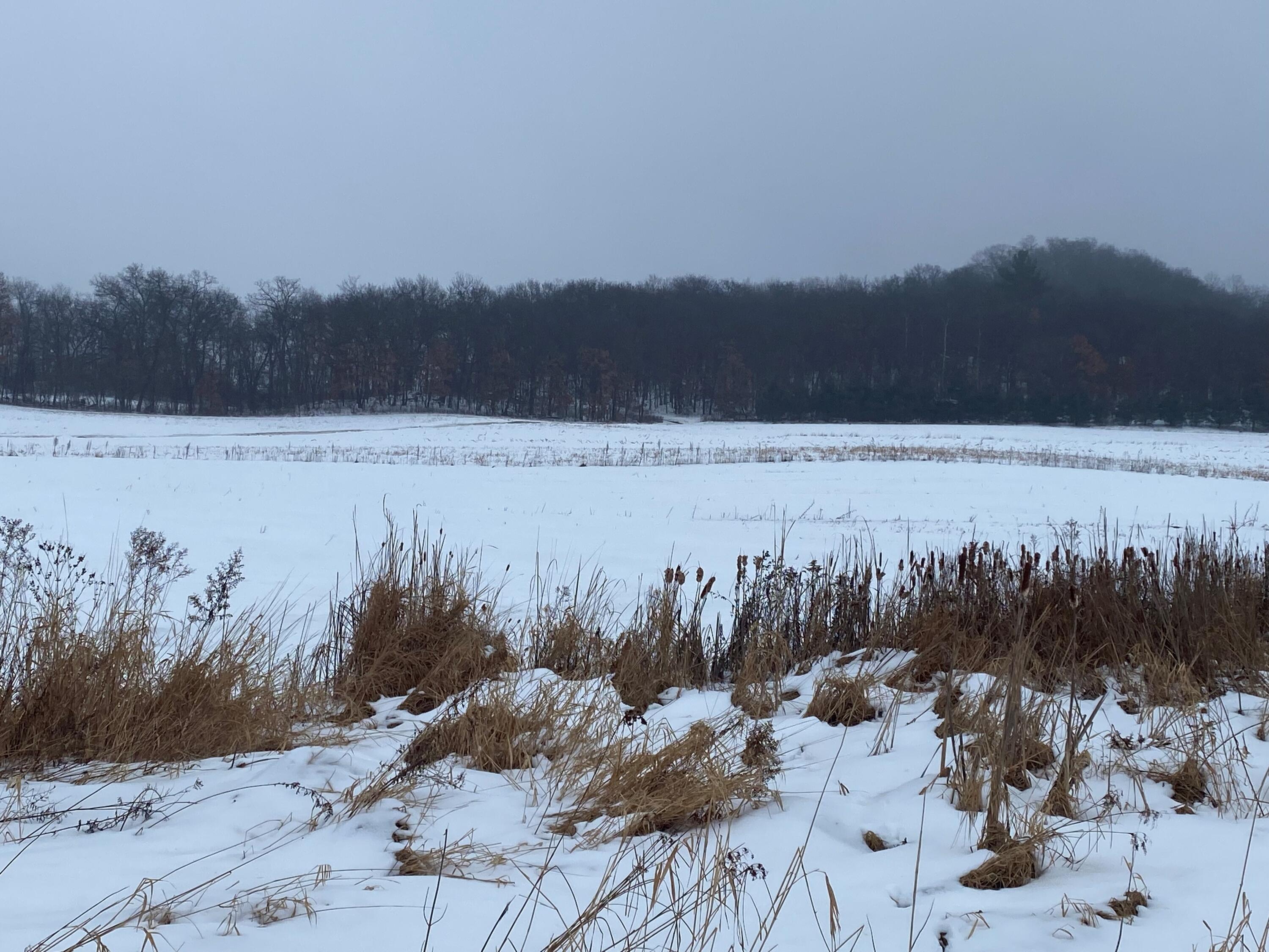 Land Pic