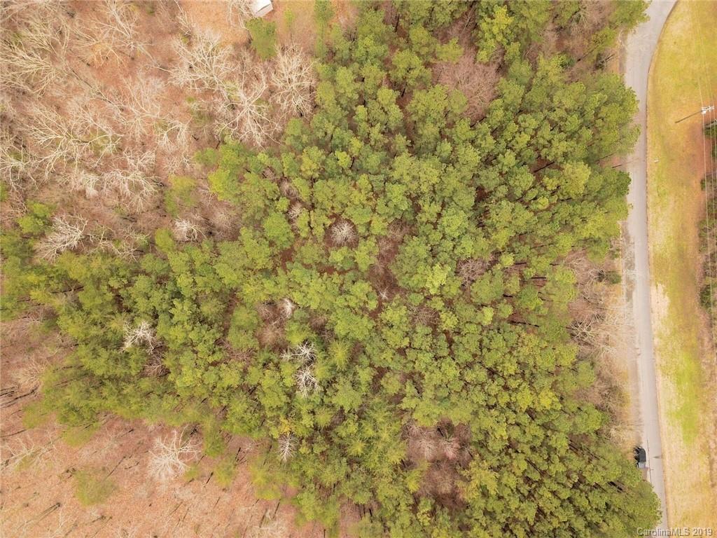 0 Brian Road Clover, SC 29710 - Photo 2 of 14