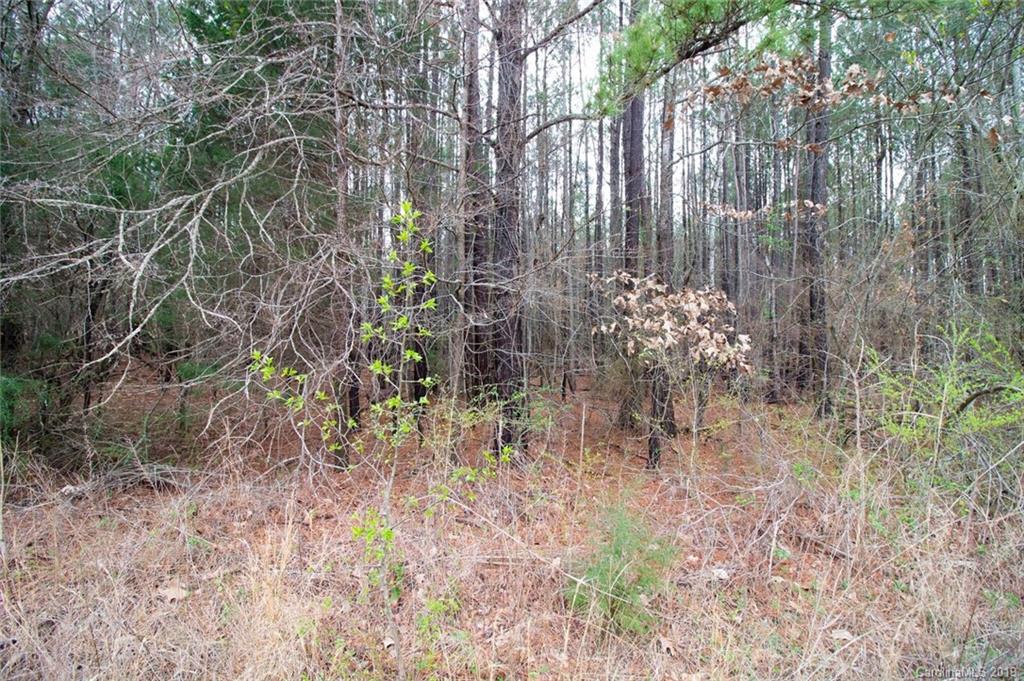 0 Brian Road Clover, SC 29710 - Photo 10 of 14