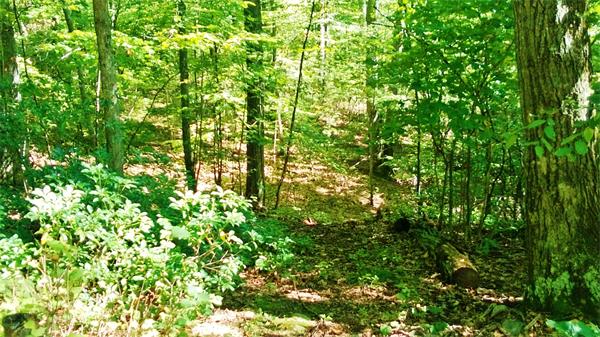 24 Reed Hill Road Wales, MA 01081 - Photo 6 of 15 Gallery Image 6