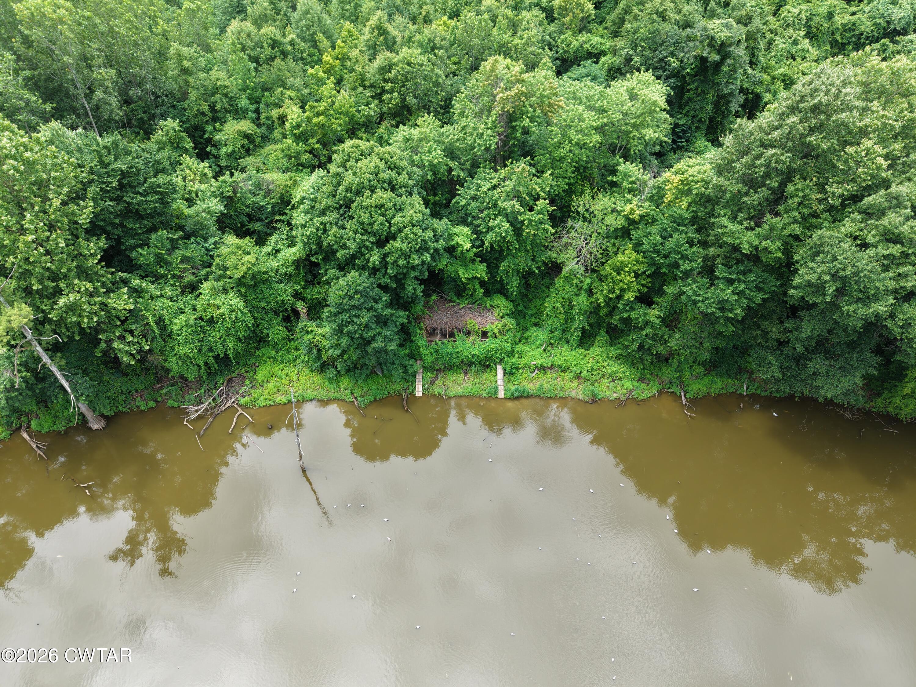 0 Miss Kelly Loop Finley, TN 38030 - Photo 6 of 14 DJI_20260615013709_0083_D